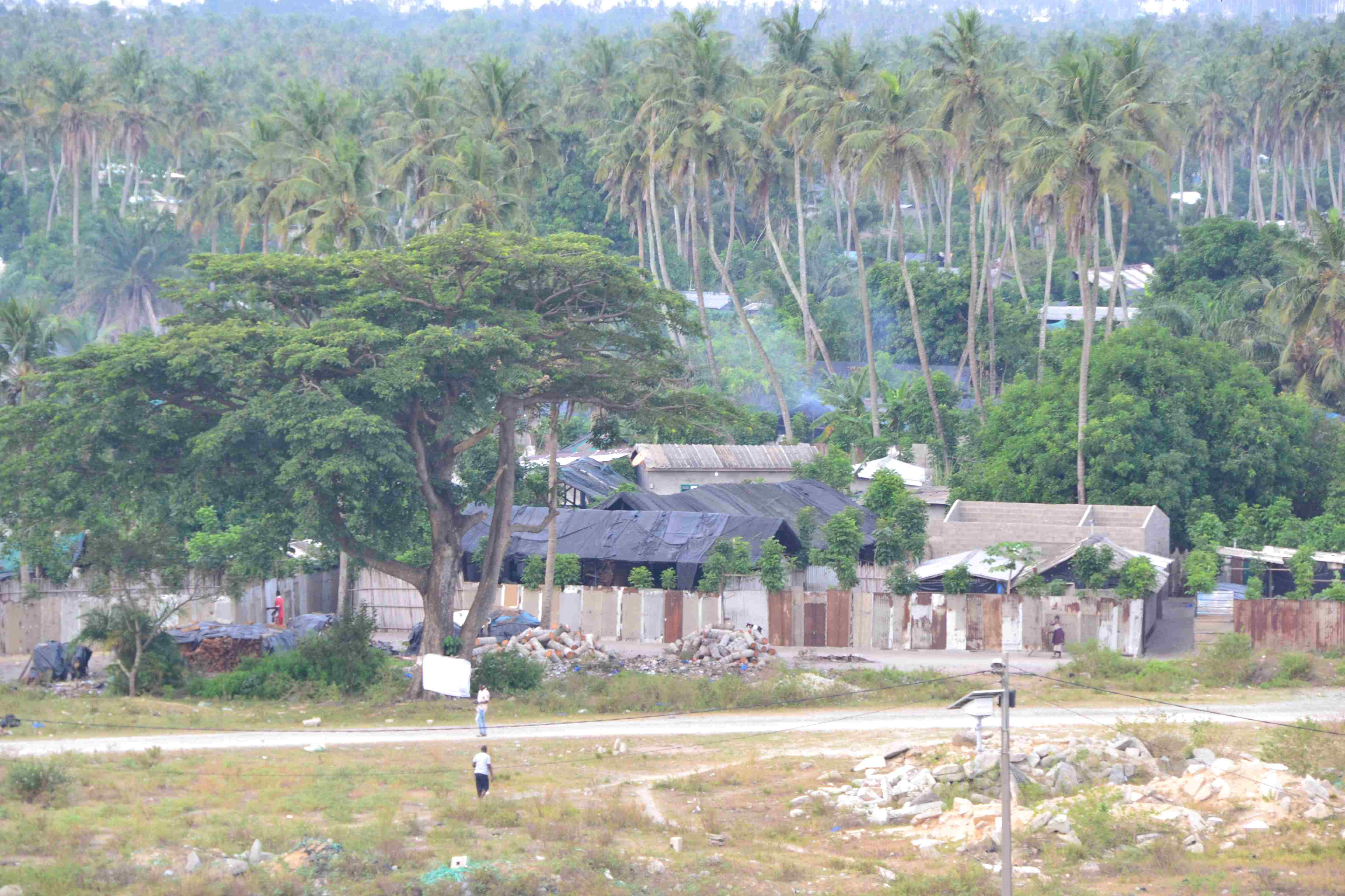 DSC 0384