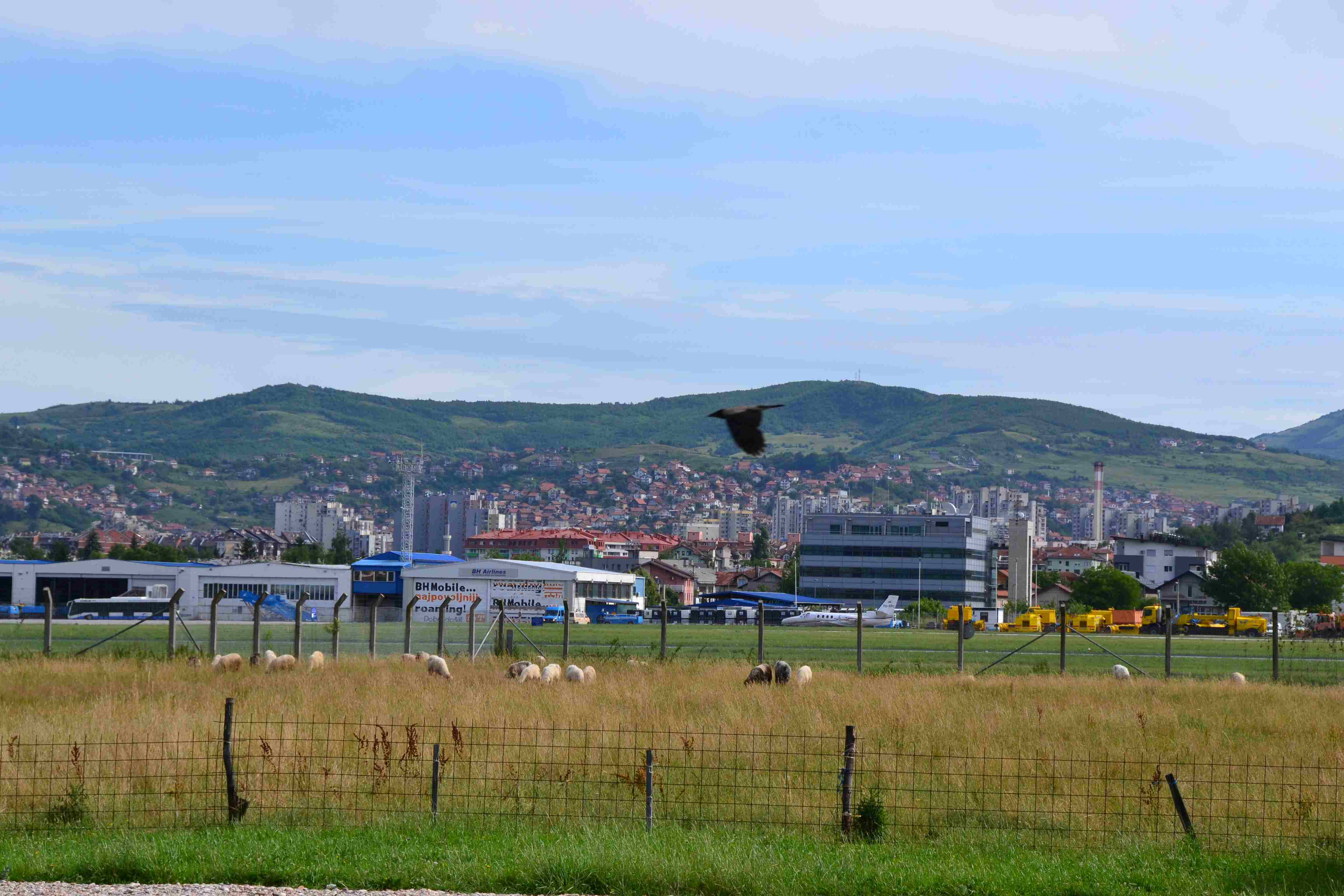 DSC 0391