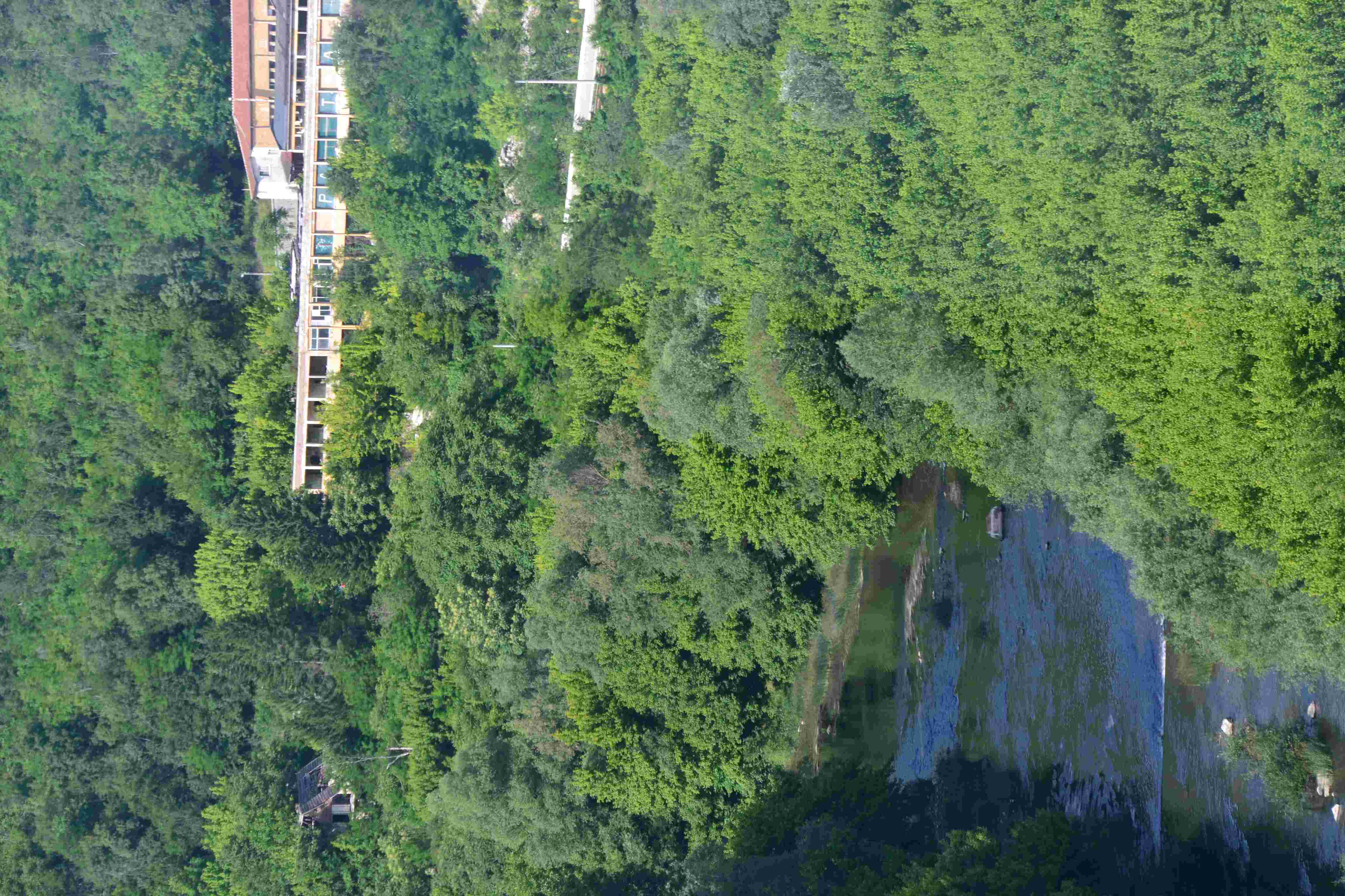 DSC 0379