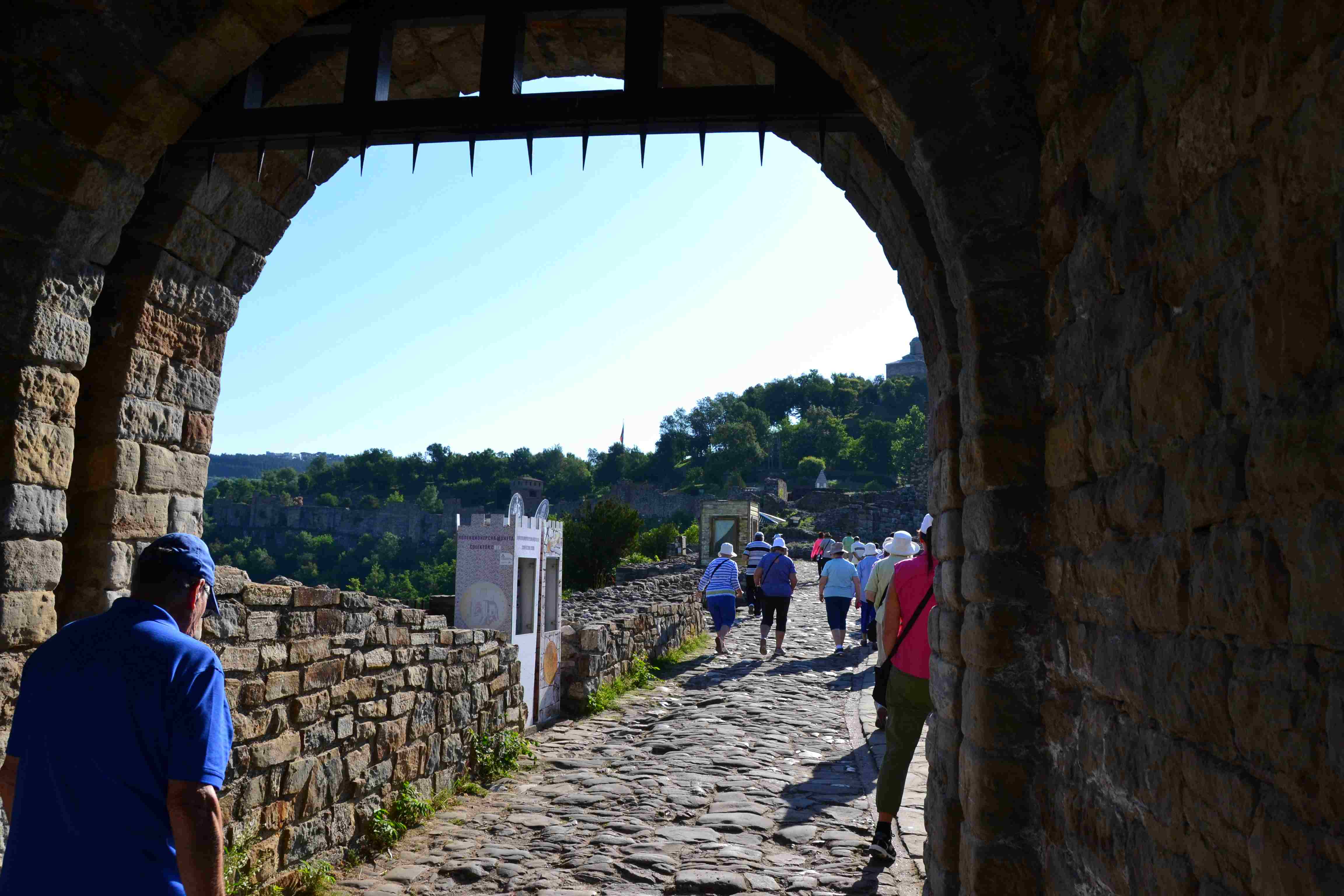 DSC 0411