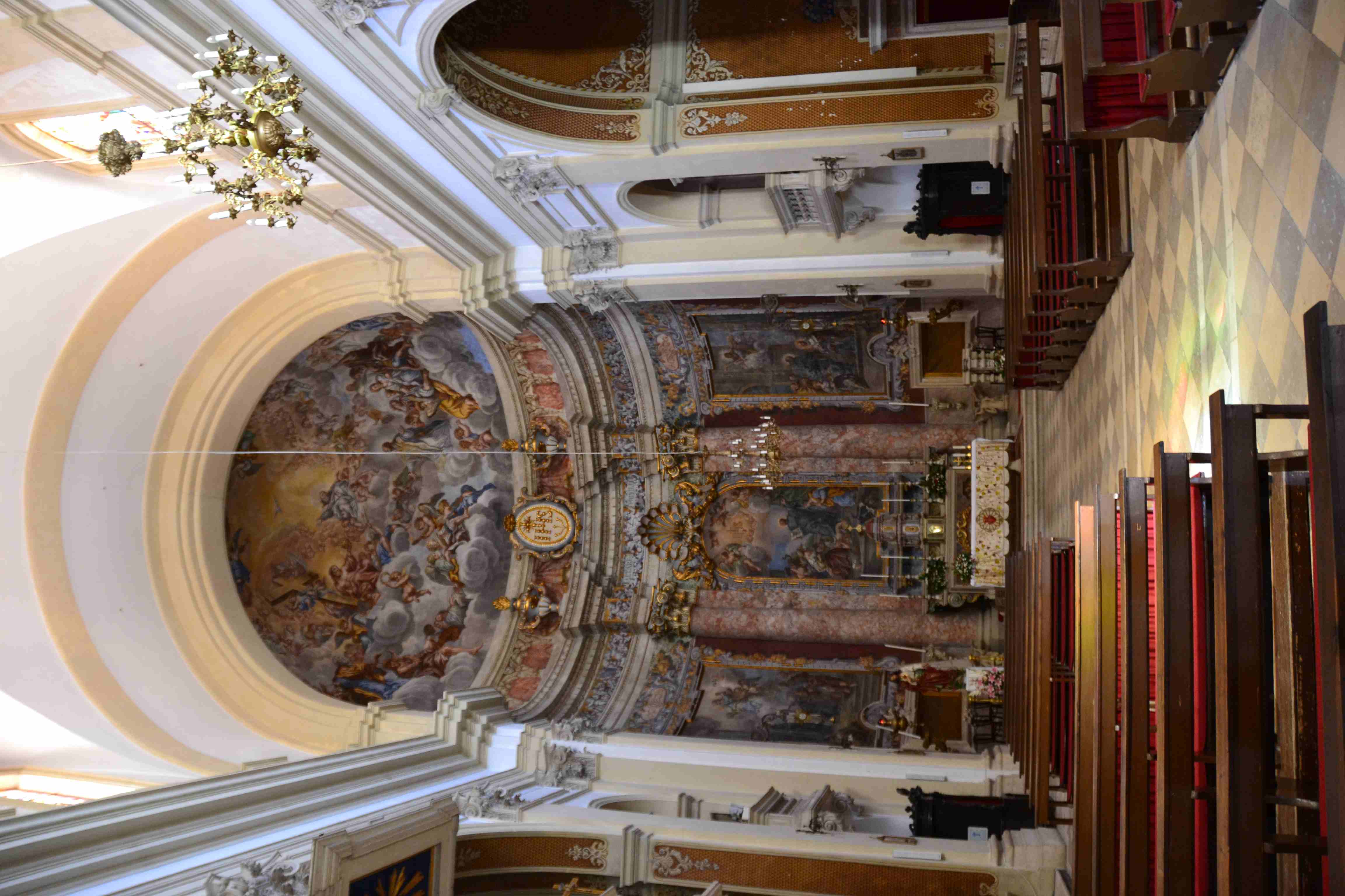 DSC 0230