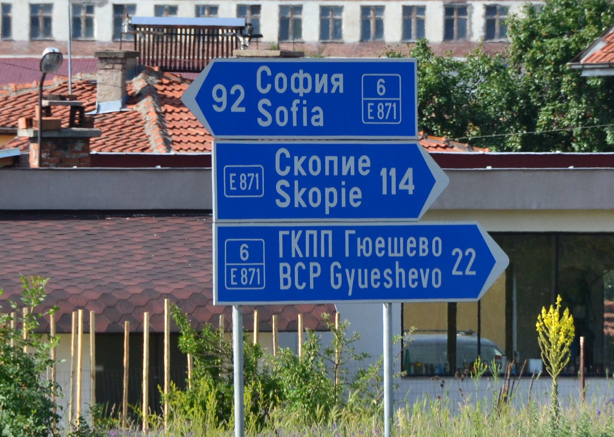 DSC 0780