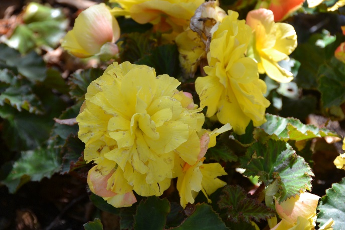 image021