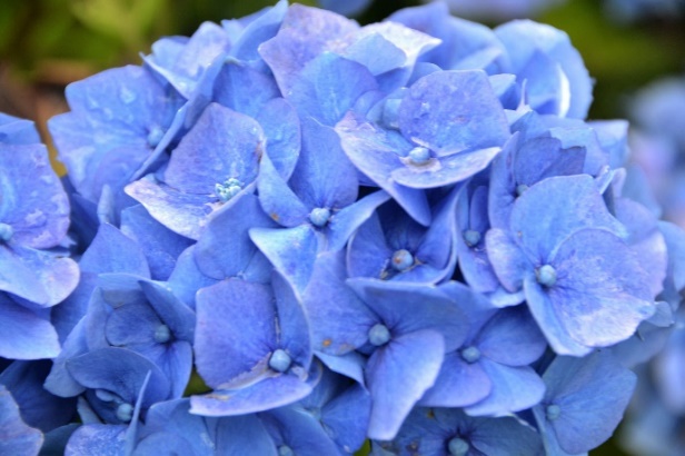 image035