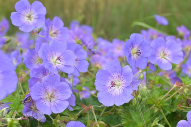 image052