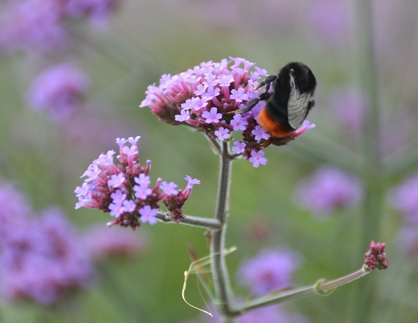image054