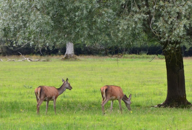 image070