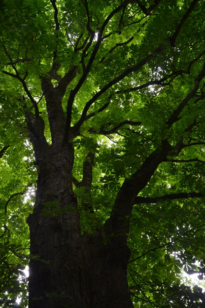 image073
