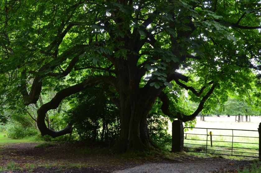 image074