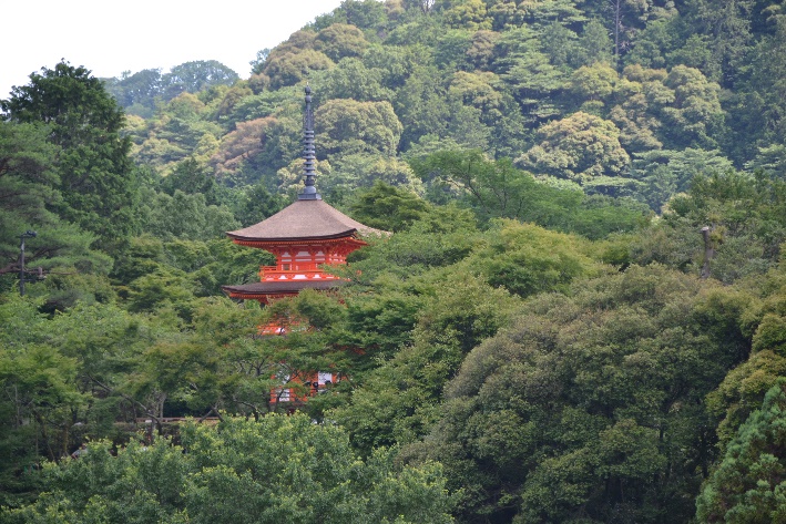 World Travel 1. Japan (Kyoto) html a50c8145f13198e9
