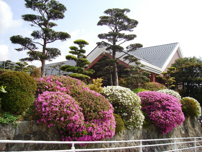 World_Travel_1._Japan_Miyajima_Hiroshima_Nagasaki_html_a342266df0119da8.jpg