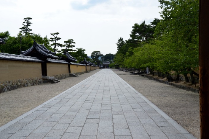 World_Travel_1._Japan_Nara_Osaka_html_e81af40c22e61b81.jpg